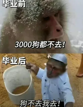 吗喽打工表情包