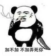 加不加.不加弄死你