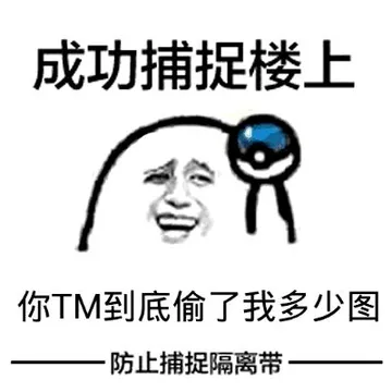 成功捕捉楼上，你TM到底偷了我多少图（防止捕捉隔离带）