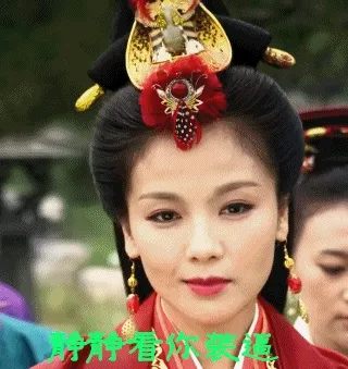静静看你装逼 － 芈月传刘涛表情包