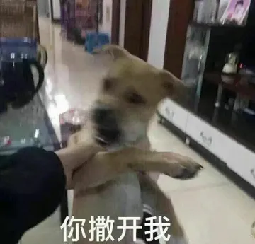 斗图搞笑表情包