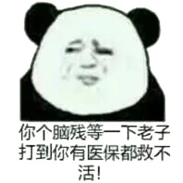 你个脑残等一下老子打到你有医保都救不活！