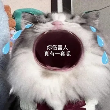 你伤害人真有一套呢