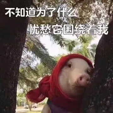 不知道为了什线陇愁它围绕看我
