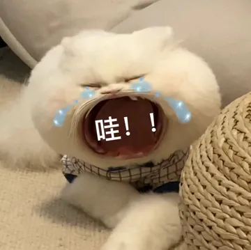 哇!!