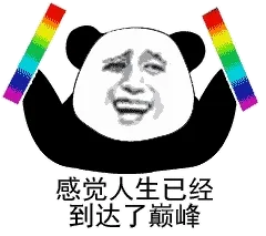 感觉人生已经到达了巅峰