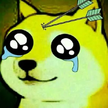 中箭
