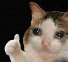 Approved crying cat
