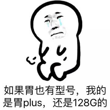 如果胃也有型号，我的是胃plus，还是128G的