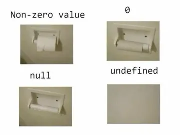 Toilet Paper Issues
