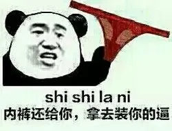 内裤还给你拿去装你的逼