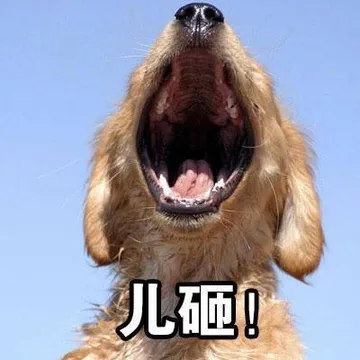 儿砸（狗子）