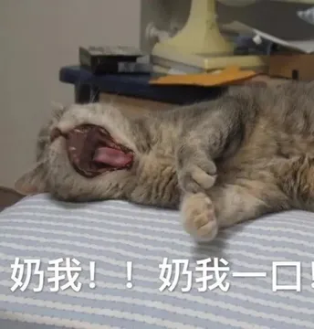 奶我.于奶我三回