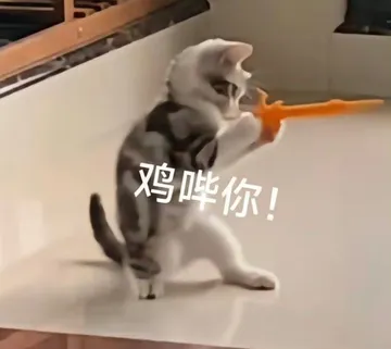 鸡哔你！