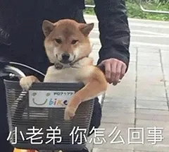 小老弟你怎么回事