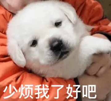 少烦我了好吧