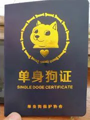 单身狗证