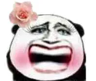 哈哈（妹子金馆长大笑）