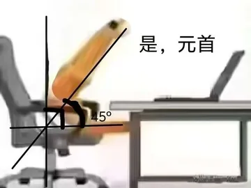 虾头是元首