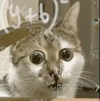 猫猫懵逼 数学公式 GIF 动图表情包
