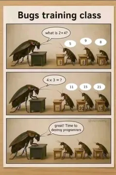 Bugs Training Class: The Secret War Against Programmers