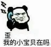 歪，我的小宝贝在吗