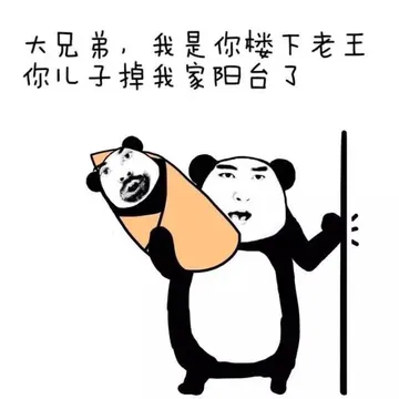 大兄弟，我是你楼下老王，你儿子掉我家阳台了