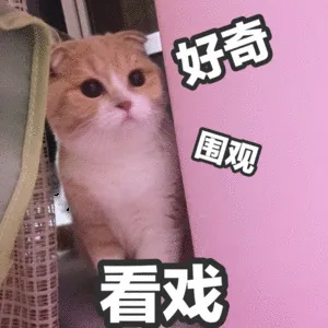 看戏