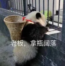老板.拿瓶阔洛