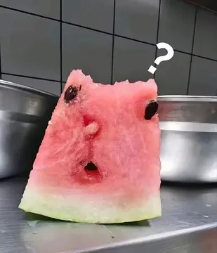 西瓜猫猫疑惑