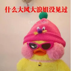 什么大风大浪姐没见过