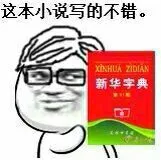 新华字典:这本小说写的不错