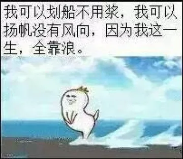 我可以划船不用桨我可以扬帆没有风向因为我这一生全靠浪