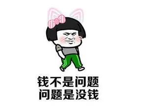 钱不是问题问题是没钱