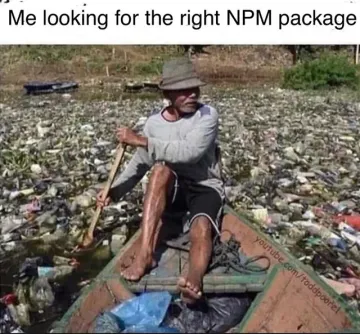 Me Looking For The Right NPM Package