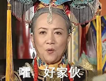 嚯好家伙