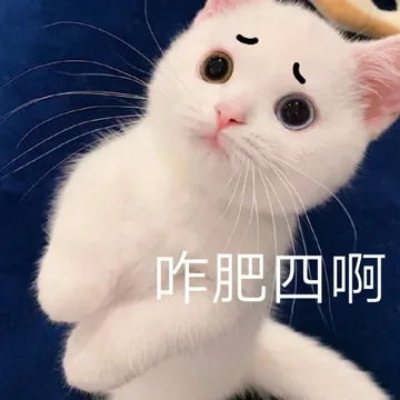 咋肥四啊