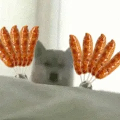 doge狗狗拿烤肠动图表情包