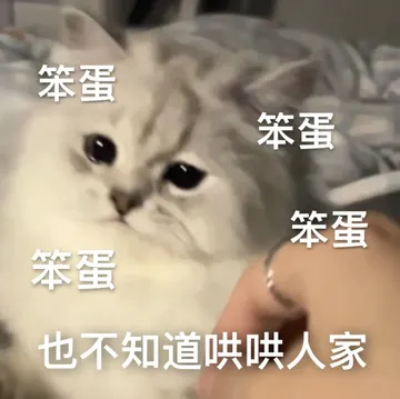 笨蛋笨蛋笨蛋笨蛋也不知道哄哄人家