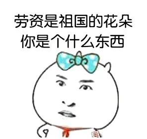 劳资是祖国的花朵，你是个什么东西