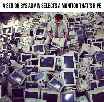 A Senior Sys Admin Selects A Monitor That's Ripe