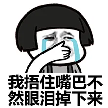 我捂住嘴巴不然眼泪掉下来