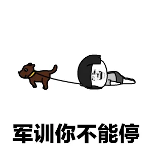 微信蘑菇头军训动态表情包「金馆长表情包」