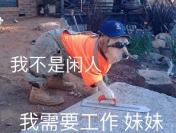 我不是闲人我需要工作妹妹
