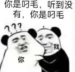 你是叼毛，听到没有，你是叼毛17我你