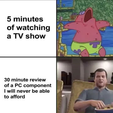 I Would Watch Them For Hours!!