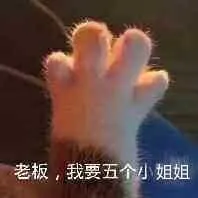 老板,我要五个小姐姐