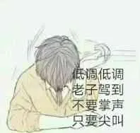 低调低调，老子驾到不要掌声只要尖叫