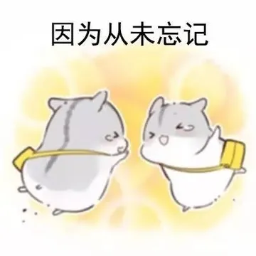 因为从未忘记