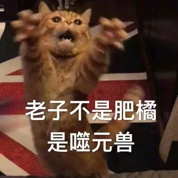 老子不是肥橘，是噬元兽